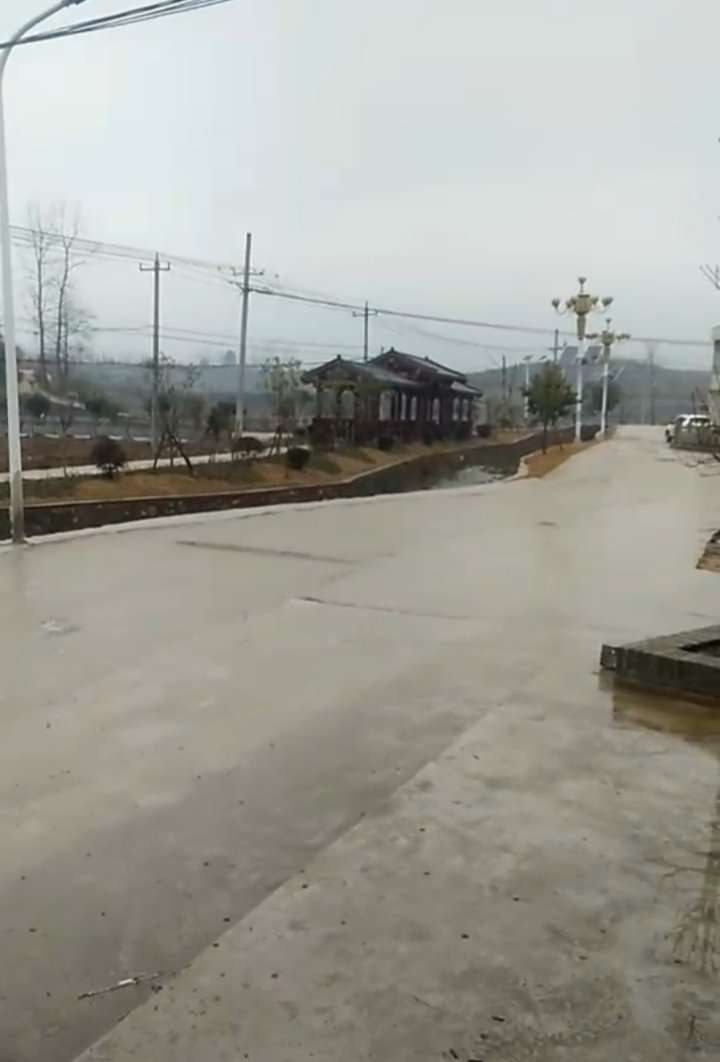 照片，我家老四门前的路