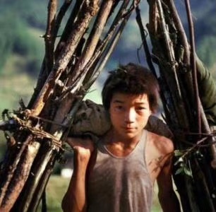 照片，男孩背着木柴